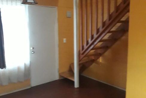 WhatsApp Image 2021-02-07 at 23.10.33