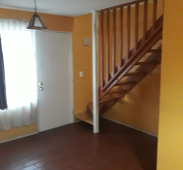 WhatsApp Image 2021-02-07 at 23.10.33