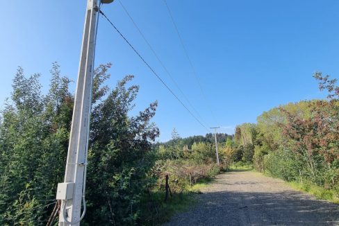 WhatsApp Image 2024-10-01 at 14.25.42 (1)