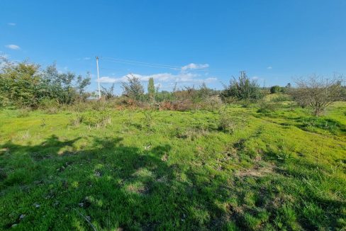 WhatsApp Image 2024-10-01 at 14.25.43 (1)