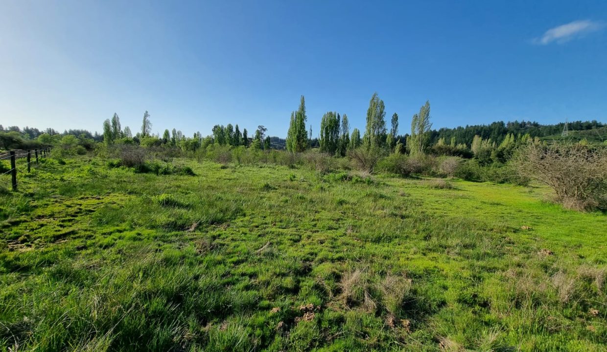 WhatsApp Image 2024-10-01 at 14.25.44 (1)