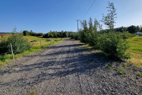 WhatsApp Image 2024-10-01 at 14.25.45 (1)