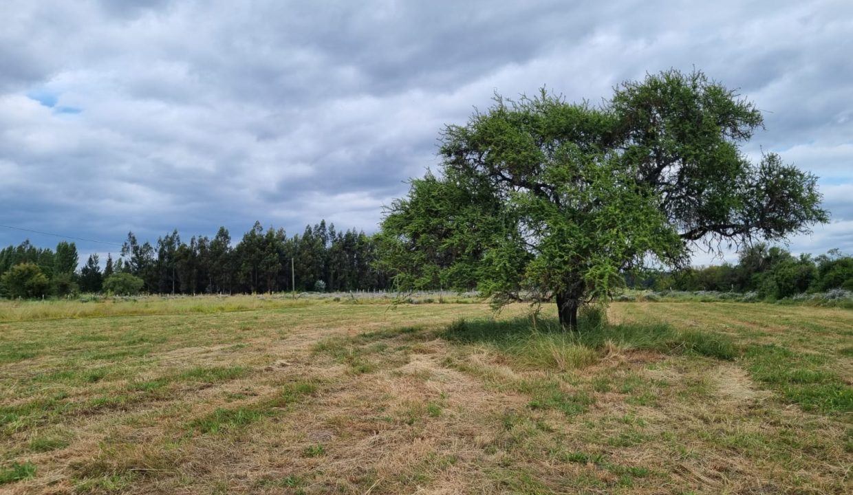 WhatsApp Image 2024-10-01 at 14.40.11