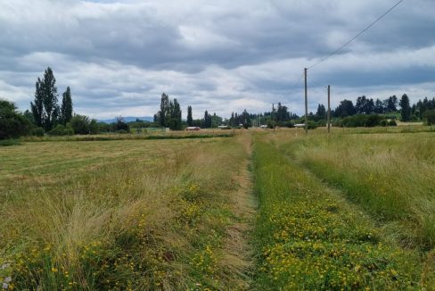 WhatsApp Image 2024-10-01 at 14.40.12 (1)