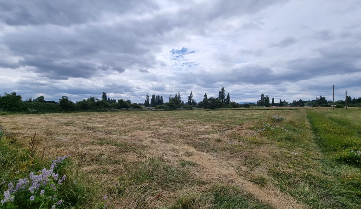 WhatsApp Image 2024-10-01 at 14.40.12 (2)