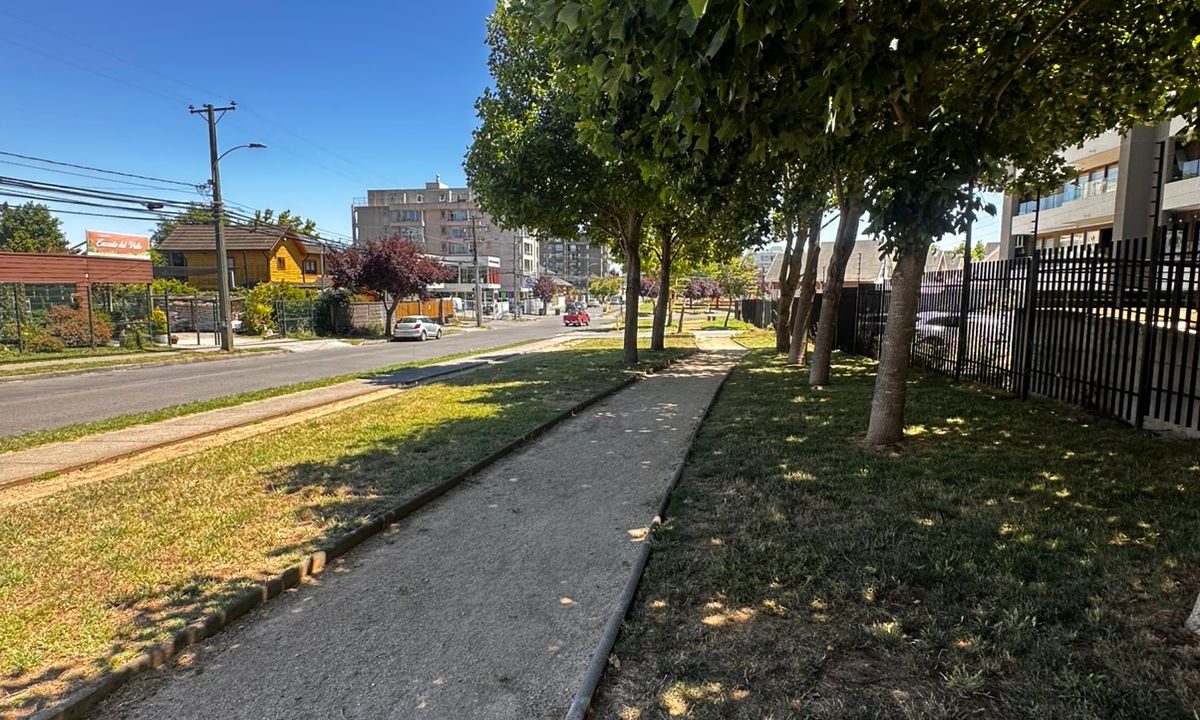 WhatsApp Image 2025-12-30 at 23.45.56