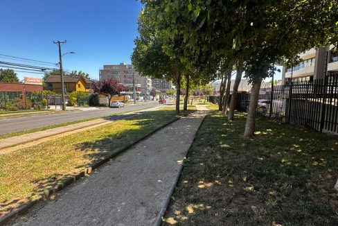 WhatsApp Image 2025-12-30 at 23.45.56