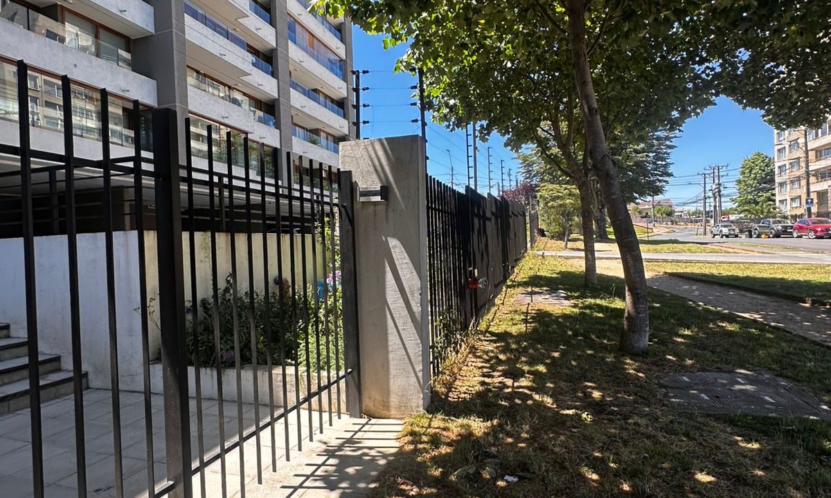 WhatsApp Image 2025-12-30 at 23.45.57 (1)