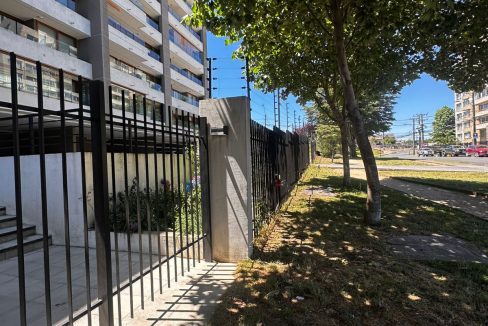 WhatsApp Image 2025-12-30 at 23.45.57 (1)