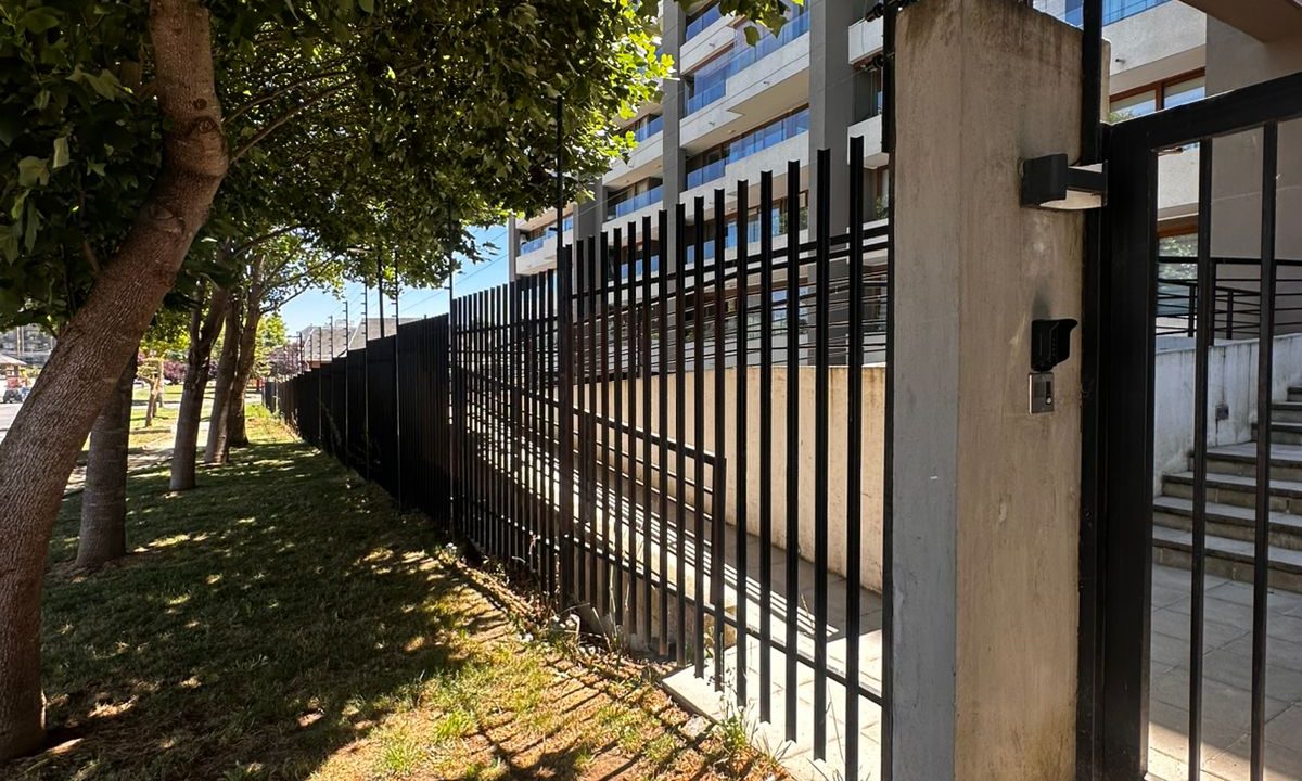 WhatsApp Image 2025-12-30 at 23.45.57