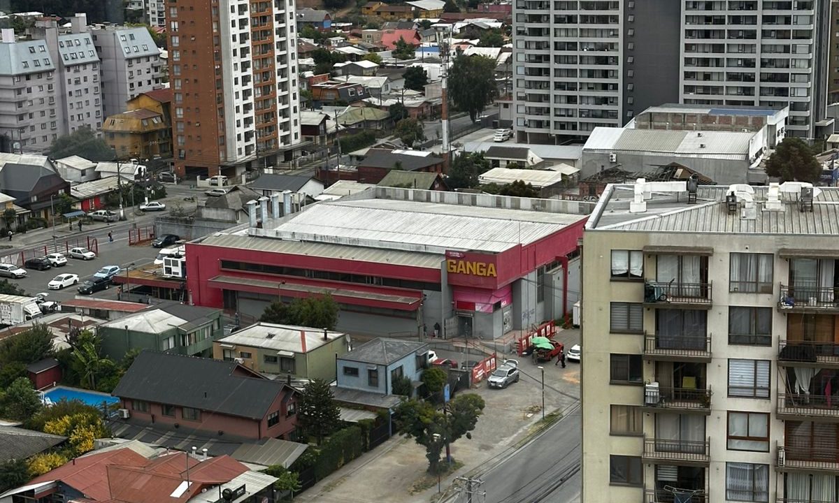 WhatsApp Image 2026-01-08 at 23.38.07 (1)