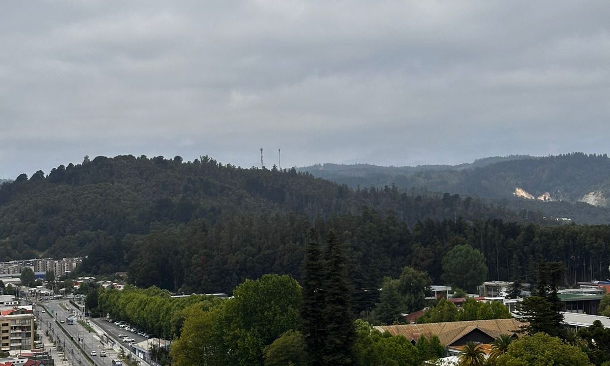 WhatsApp Image 2026-01-08 at 23.38.07