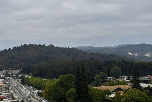 WhatsApp Image 2026-01-08 at 23.38.07