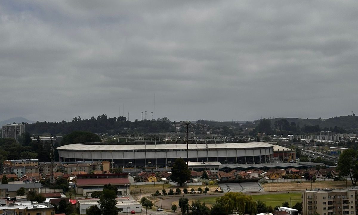 WhatsApp Image 2026-01-08 at 23.38.08