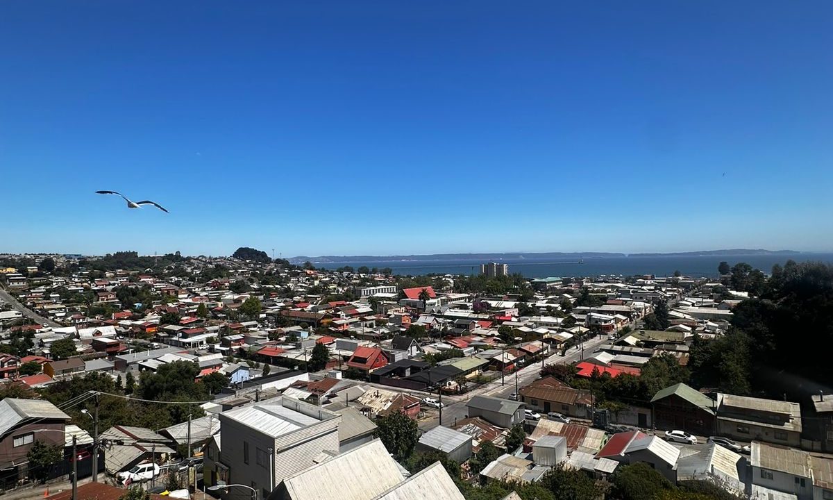 WhatsApp Image 2026-01-17 at 21.57.10 (3)