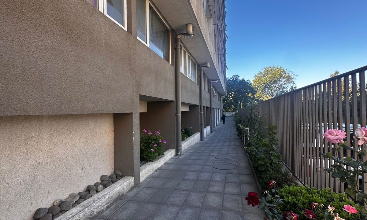 WhatsApp Image 2026-02-18 at 20.59.13 (3)