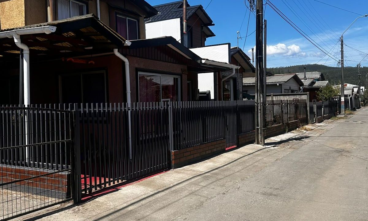 WhatsApp Image 2026-02-19 at 00.03.20 (1)