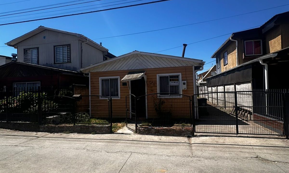 WhatsApp Image 2026-02-19 at 00.03.20 (3)