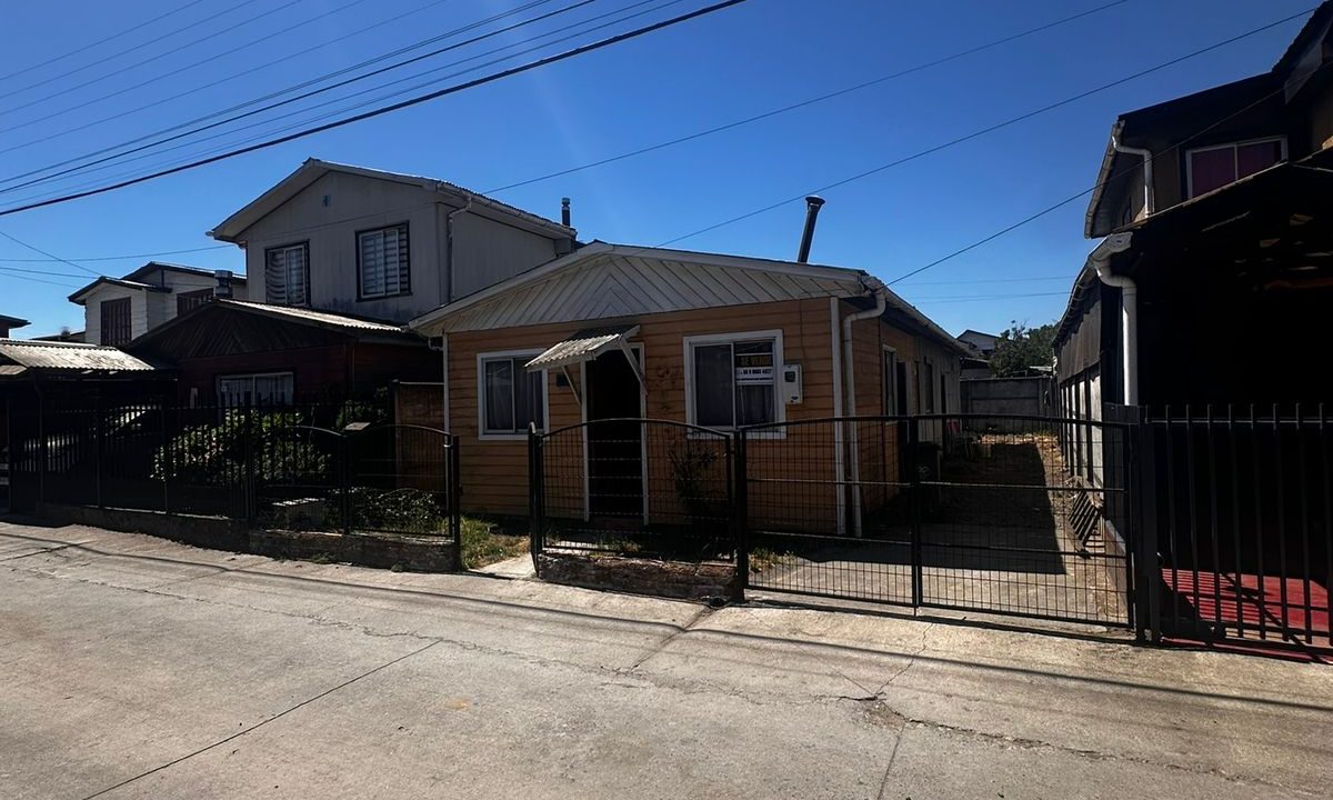 WhatsApp Image 2026-02-19 at 00.03.21 (1)