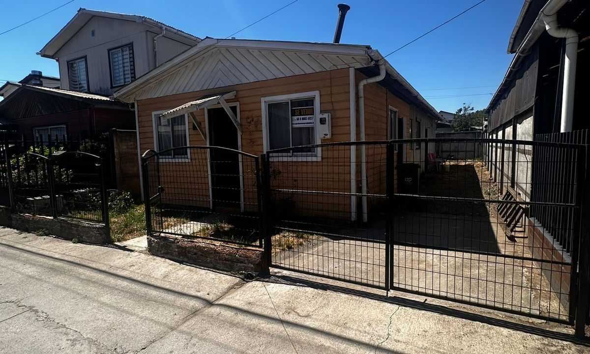 WhatsApp Image 2026-02-19 at 00.03.21