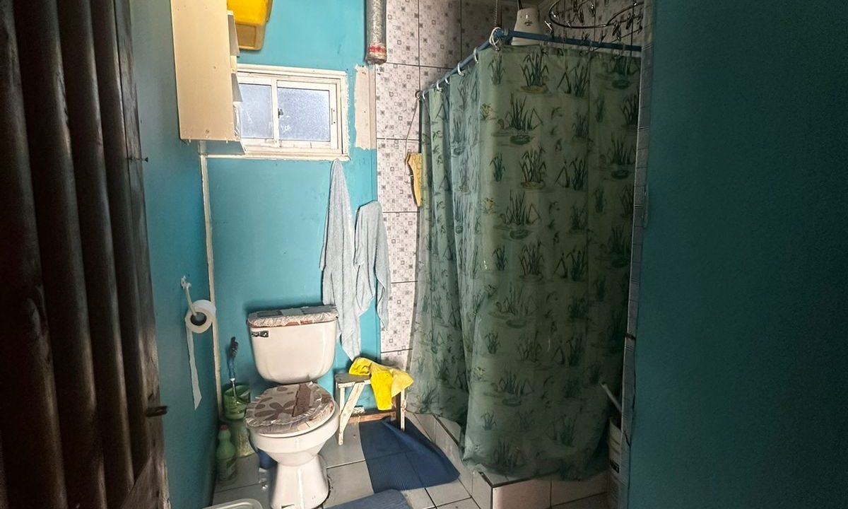 WhatsApp Image 2026-02-19 at 00.03.22