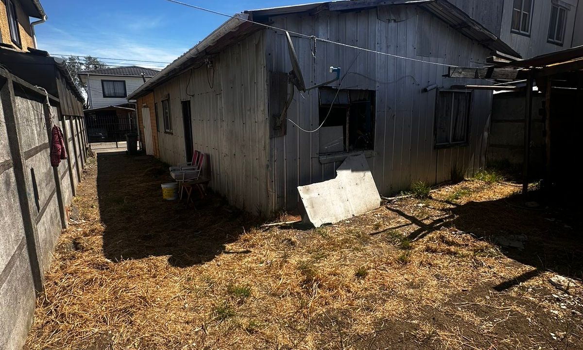 WhatsApp Image 2026-02-19 at 00.03.22 (2)