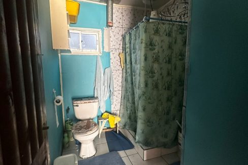 WhatsApp Image 2026-02-19 at 00.03.22