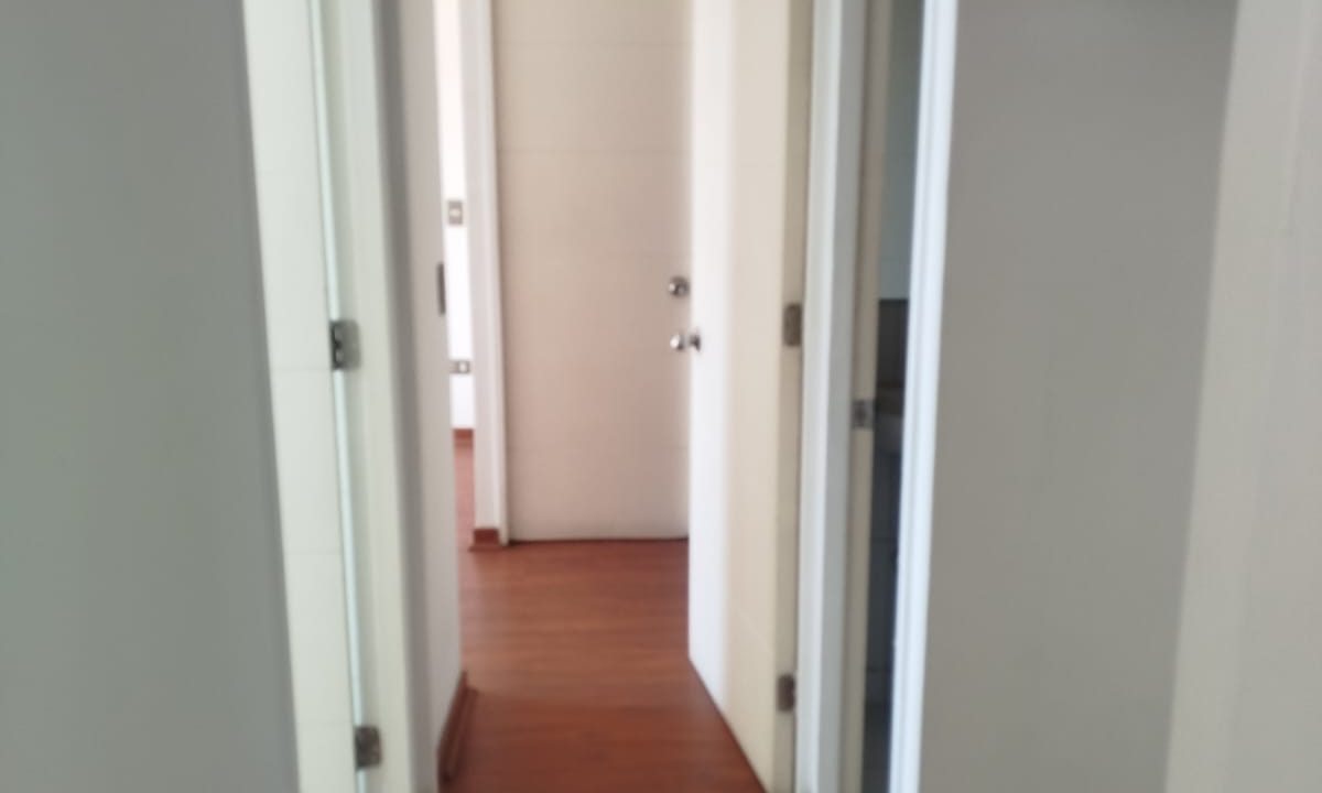 WhatsApp Image 2026-02-19 at 11.57.53