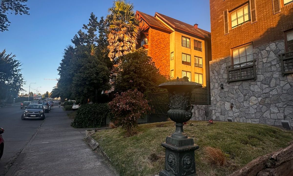 WhatsApp Image 2026-02-20 at 21.19.13 (1)