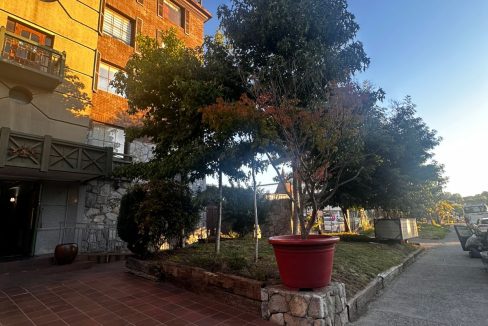 WhatsApp Image 2026-02-20 at 21.19.13 (3)