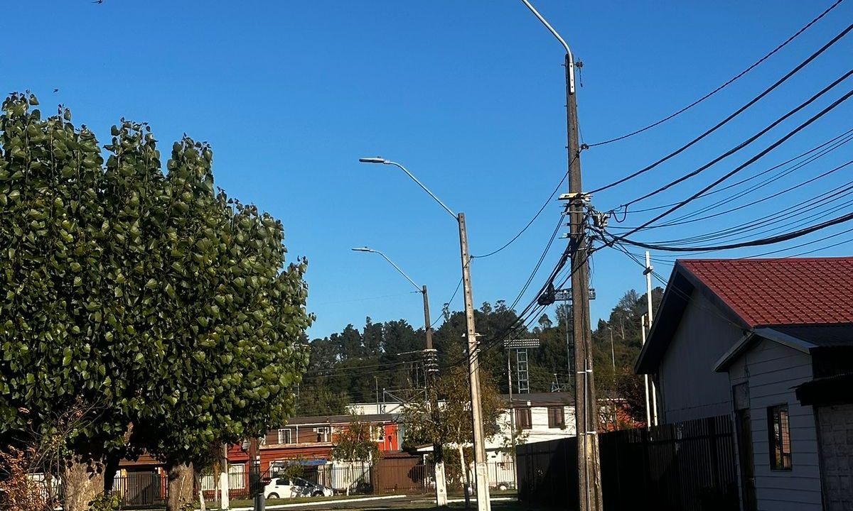 WhatsApp Image 2026-03-29 at 21.17.36 (2)