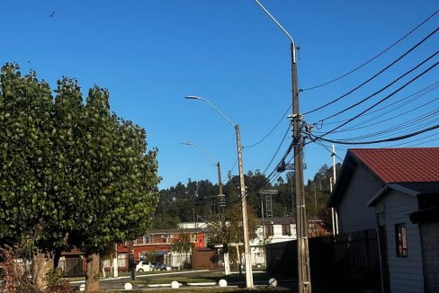 WhatsApp Image 2026-03-29 at 21.17.36 (2)