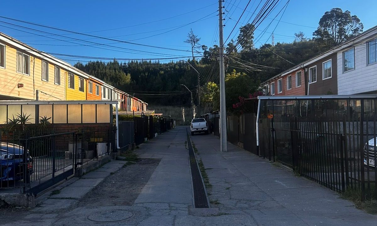 WhatsApp Image 2026-03-29 at 21.17.37