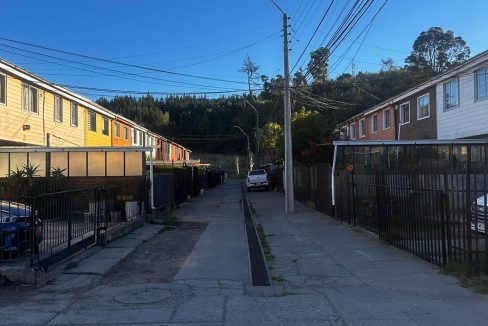 WhatsApp Image 2026-03-29 at 21.17.37