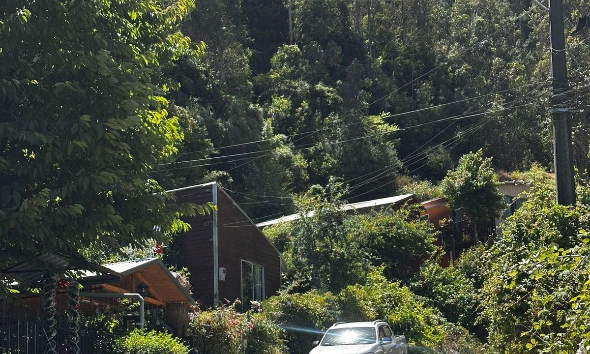 WhatsApp Image 2026-04-01 at 22.52.40