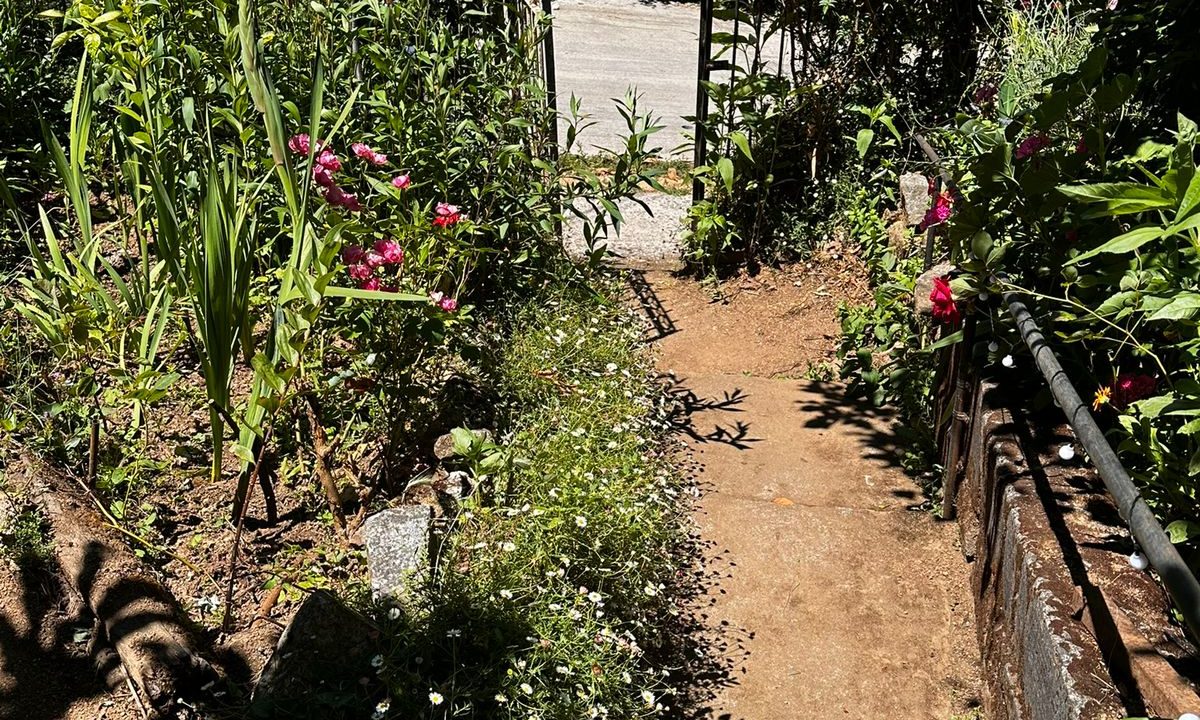 WhatsApp Image 2026-04-01 at 22.52.42 (1)