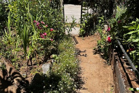 WhatsApp Image 2026-04-01 at 22.52.42 (1)