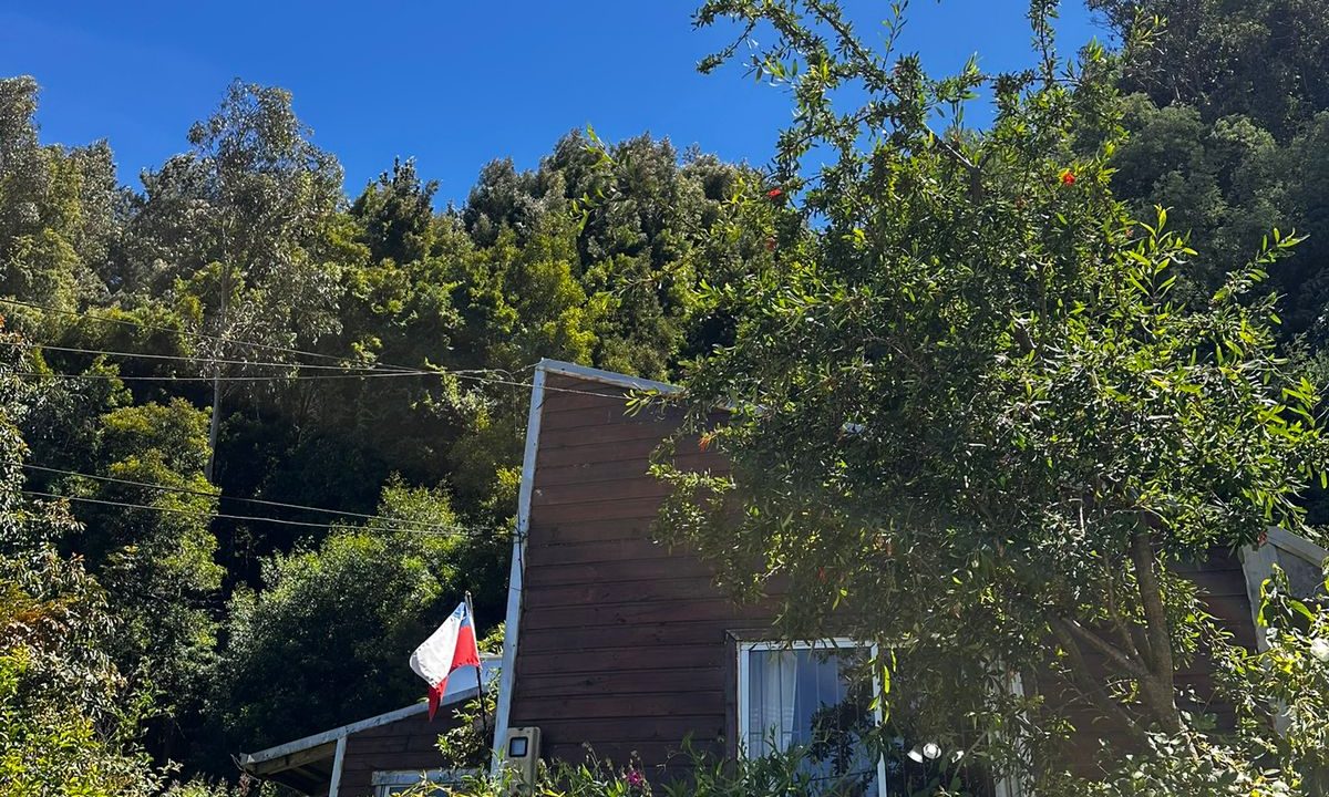 WhatsApp Image 2026-04-01 at 22.52.42 (2)