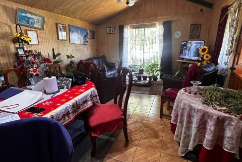 WhatsApp Image 2026-04-01 at 22.52.42