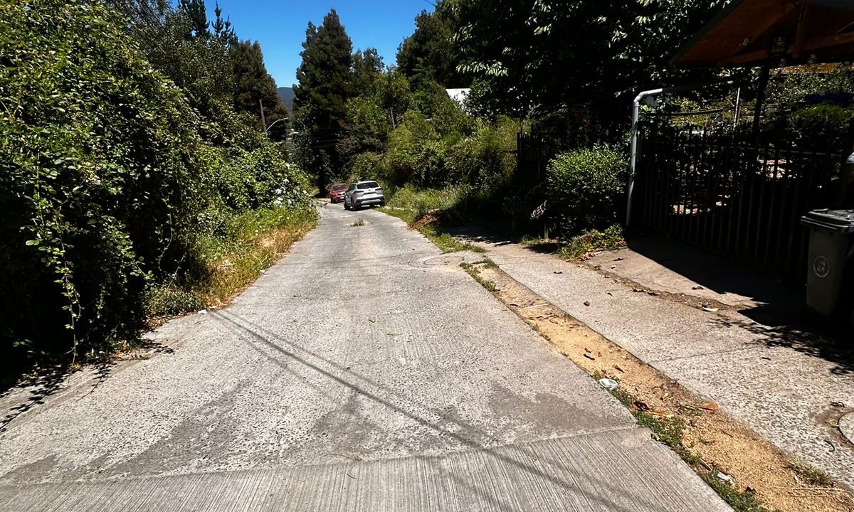 WhatsApp Image 2026-04-01 at 22.52.43 (1)