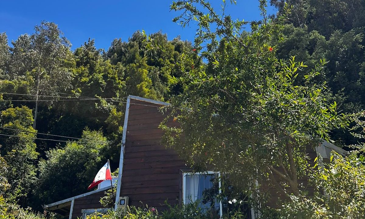 WhatsApp Image 2026-04-01 at 22.52.43