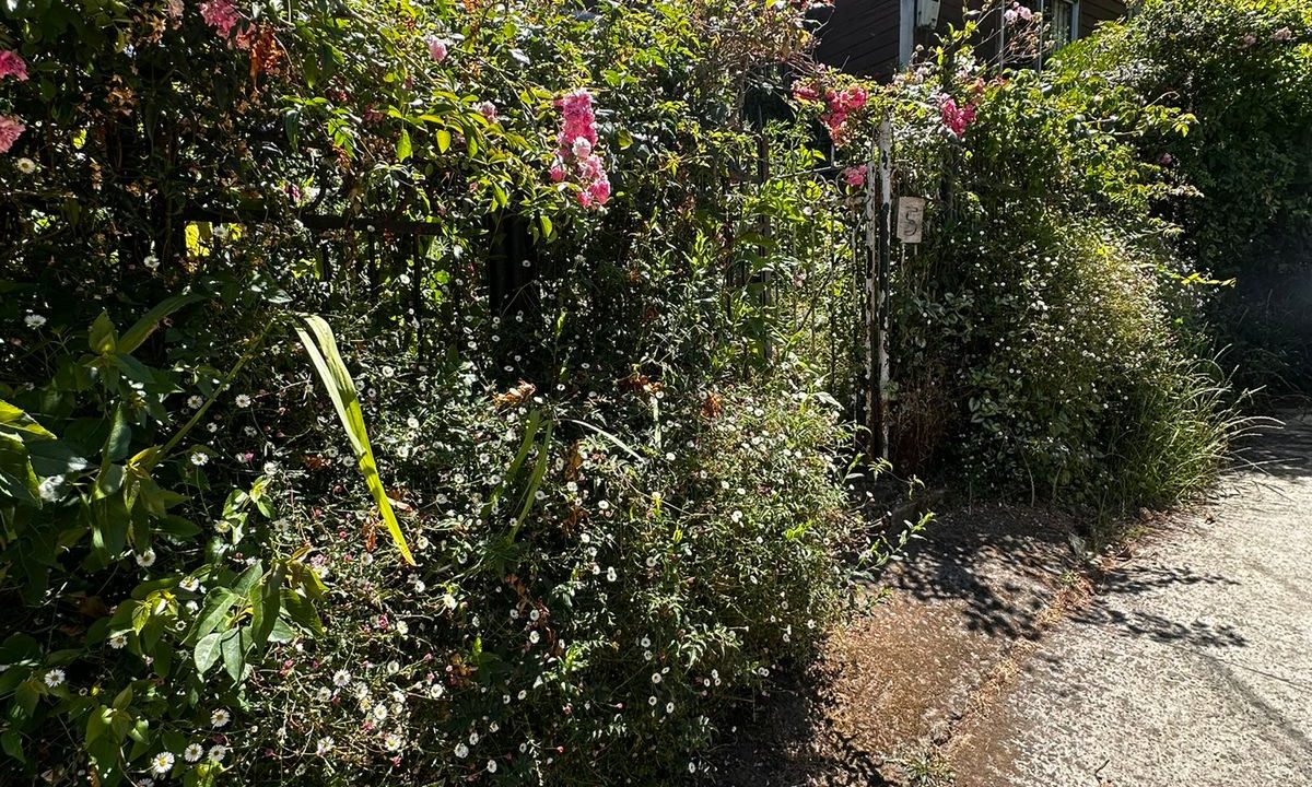 WhatsApp Image 2026-04-01 at 22.52.43 (2)