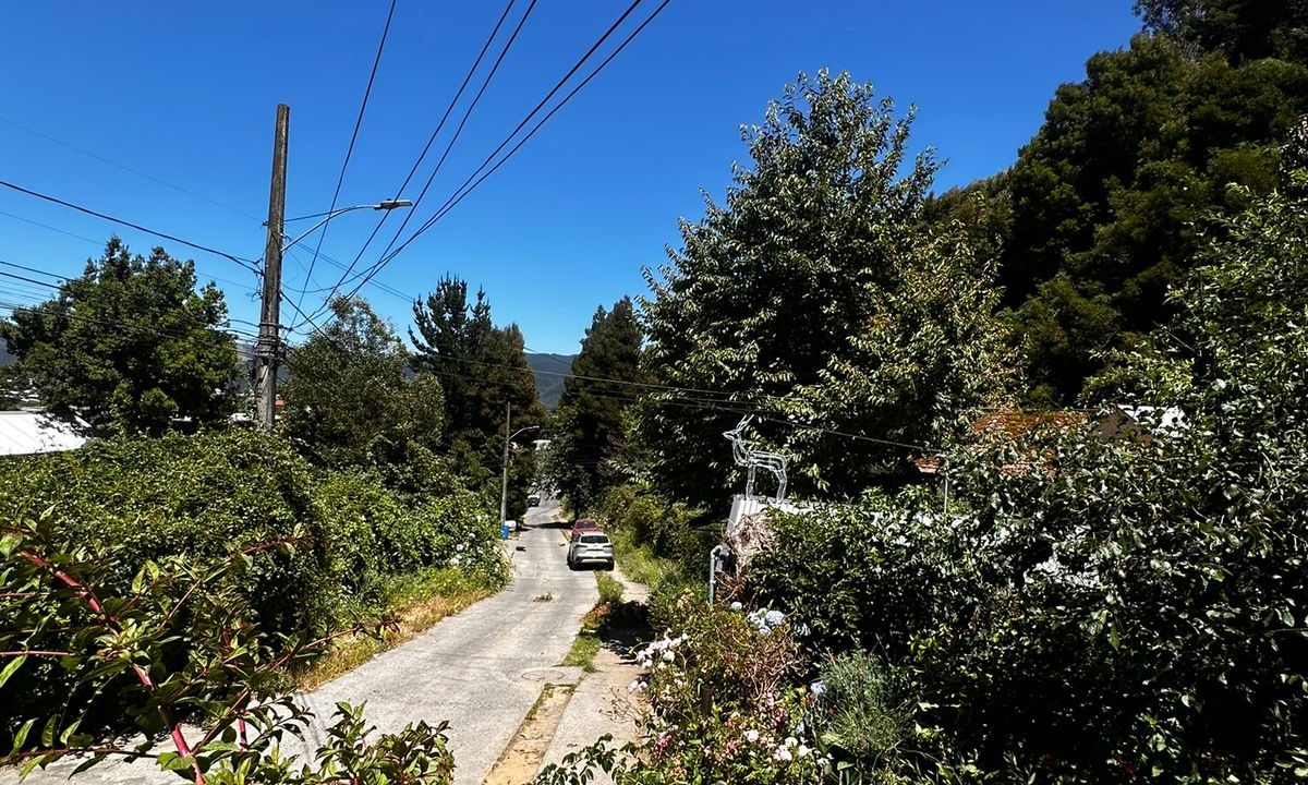 WhatsApp Image 2026-04-01 at 22.52.43 (3)