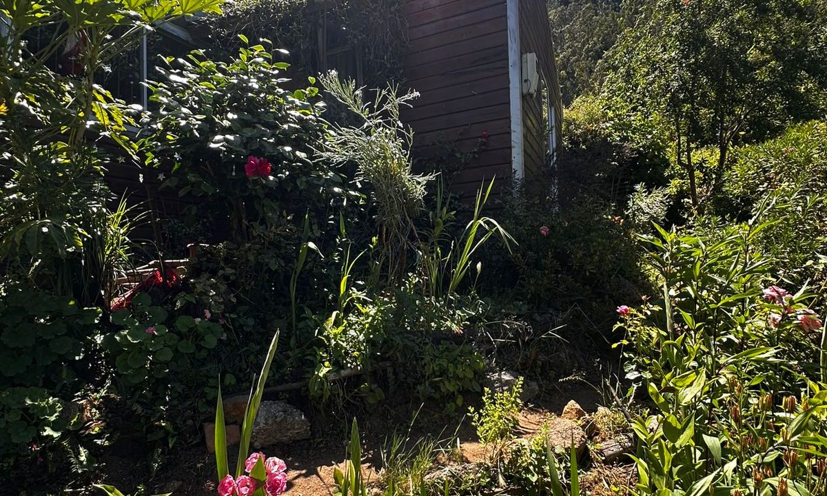 WhatsApp Image 2026-04-01 at 22.52.44