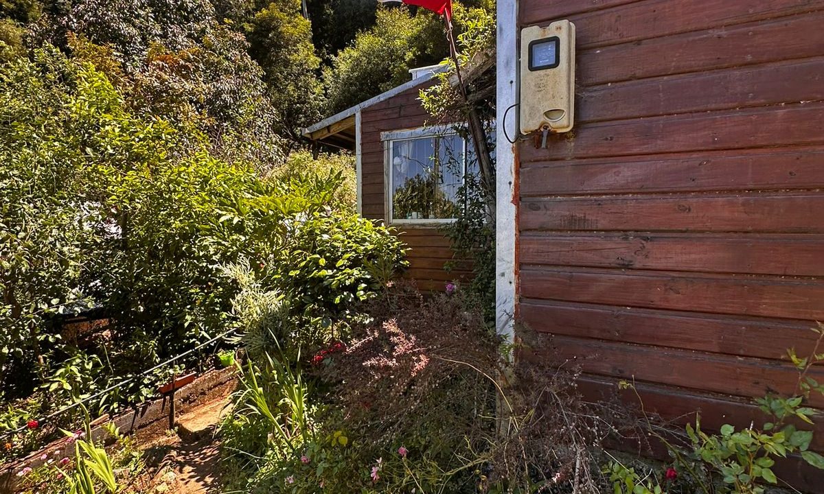 WhatsApp Image 2026-04-01 at 22.52.44 (2)