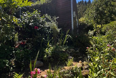 WhatsApp Image 2026-04-01 at 22.52.44