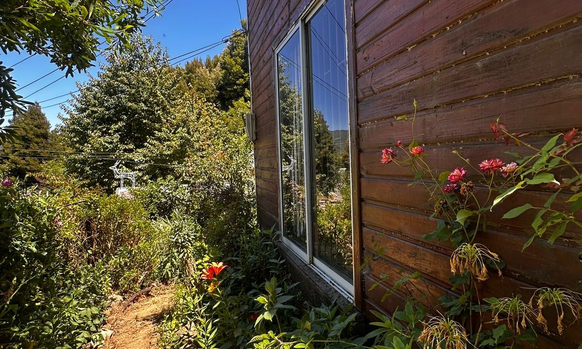 WhatsApp Image 2026-04-01 at 22.52.45