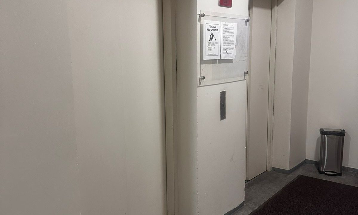 WhatsApp Image 2026-04-15 at 22.43.28