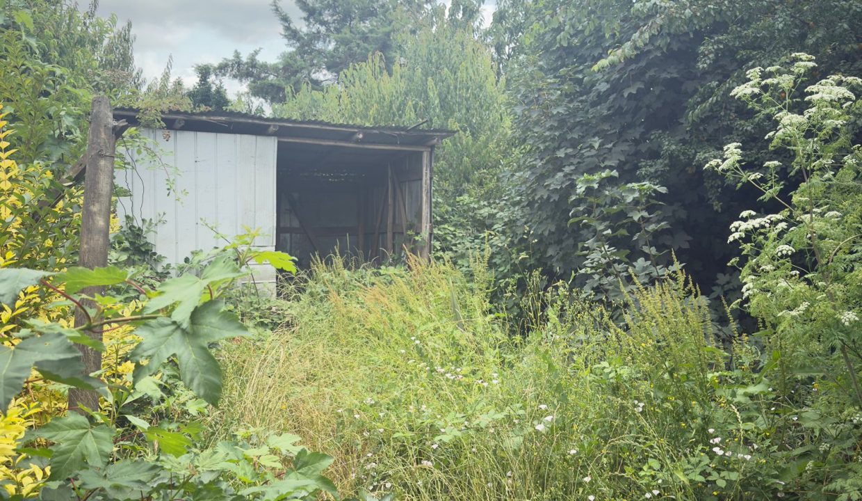 WhatsApp Image 2026-04-19 at 11.23.09 (15)