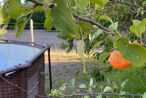 WhatsApp Image 2026-04-24 at 12.43.31 (12)